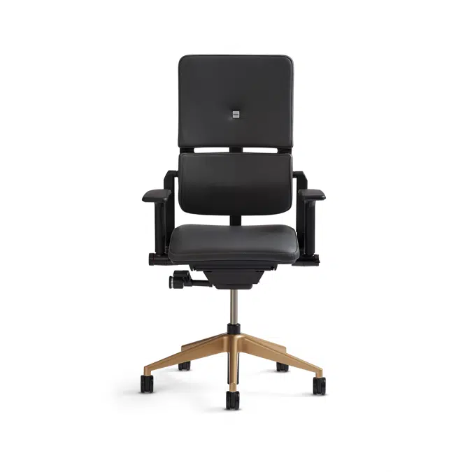 Please Comfortable Task & Desk Chair | Office Chair
