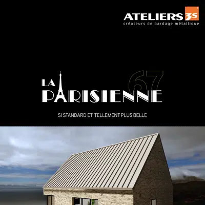 afbeelding voor Roof panels PARISIENNE