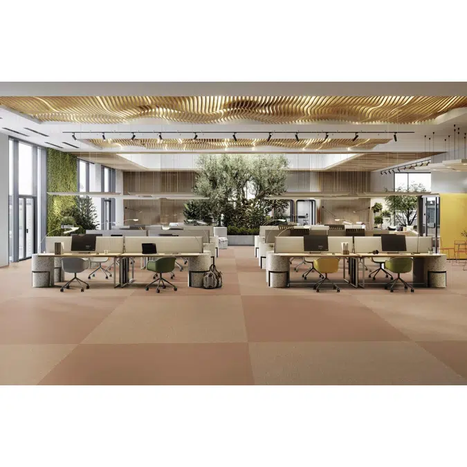 Creation 55 Looselay