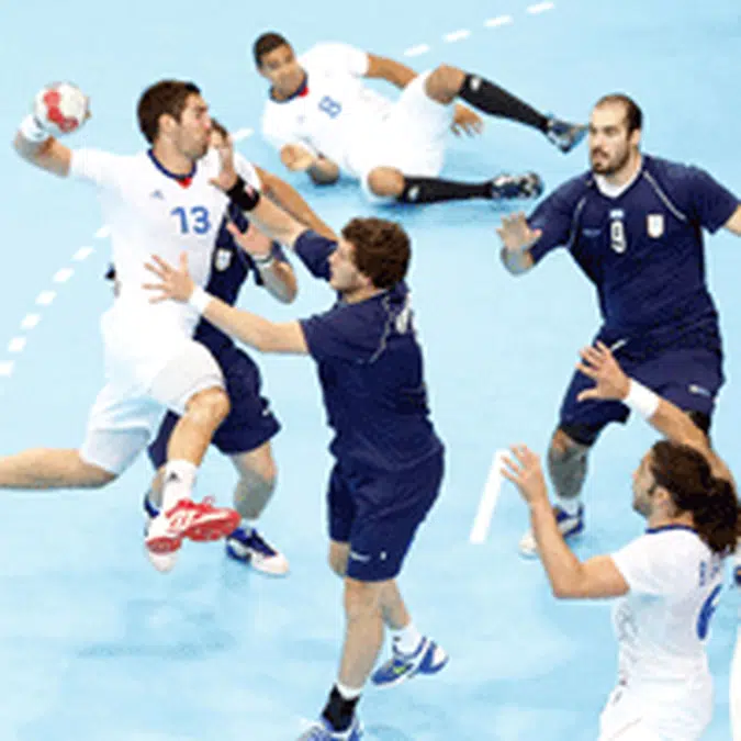 Taraflex Performance