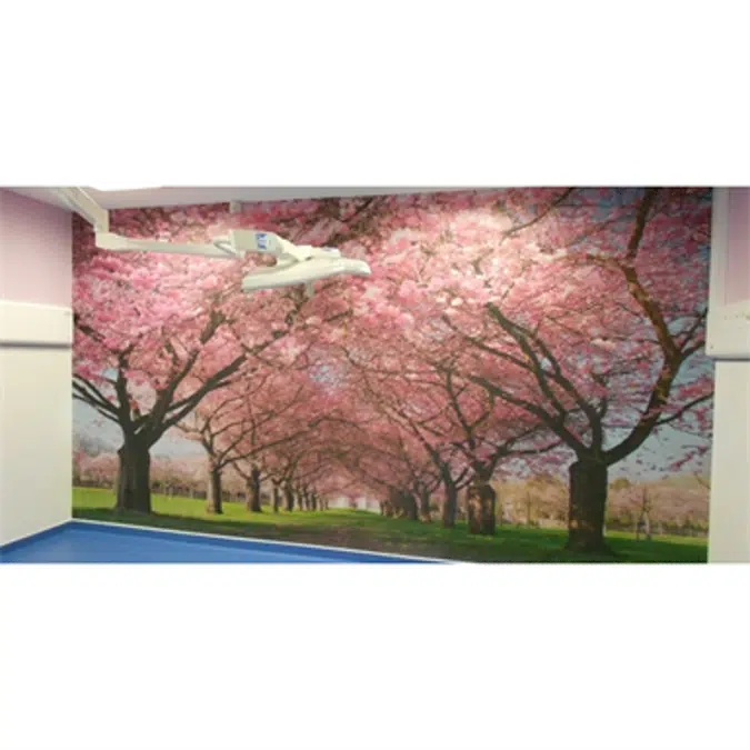 DECOPRINT - Customized protection or decoration panel