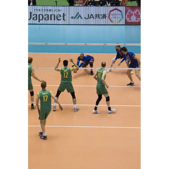 Taraflex Evolution Drytex