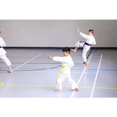 Image for Taraflex Evolution SL