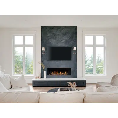 Image for Regency® City Series™ New York View 50 Gas Fireplace