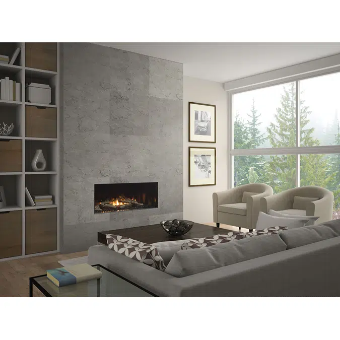 Regency® City Series™ New York View 40 Gas Fireplace