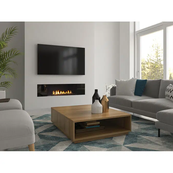 Regency® City Series™ New York View 40 Gas Fireplace