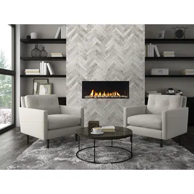 imagem para Regency® City Series™ New York View 40 Gas Fireplace