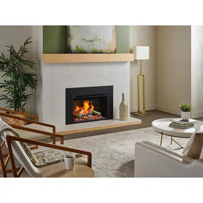 Obrázek pro Ei29LCD Electric Fireplace Insert