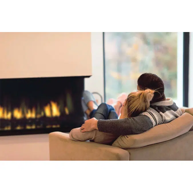 Regency® City Series™ Seattle See-Through 60 Gas Fireplace