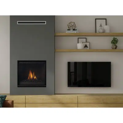 Image pour Regency® Grandview™ G600C Gas Fireplace