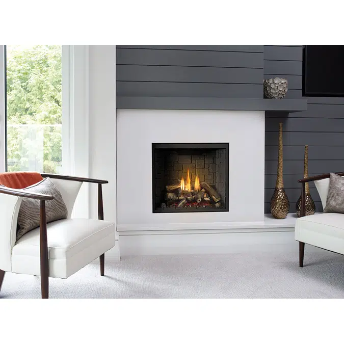 Regency® Grandview™ G600C Gas Fireplace