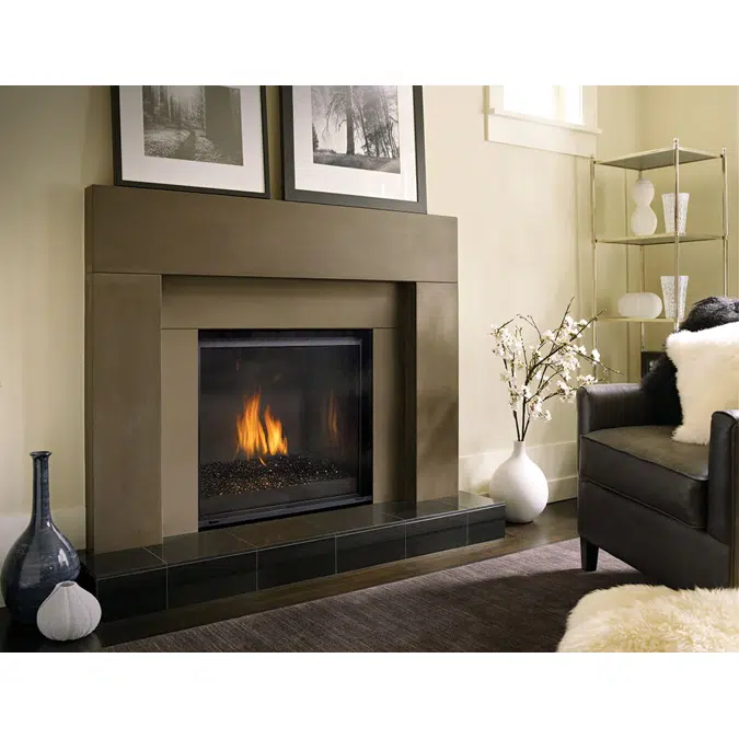 Regency® Grandview™ G800EC Gas Fireplace