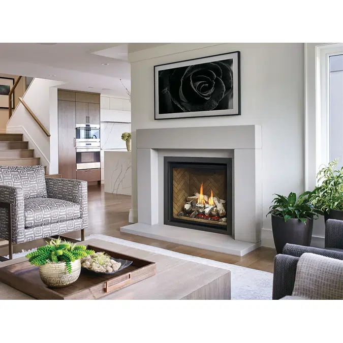 Regency® Grandview™ G800EC Gas Fireplace