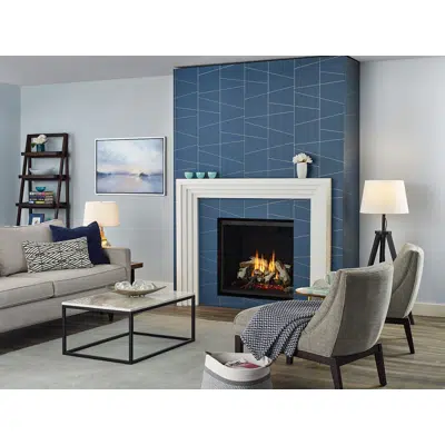 Image pour Regency® Grandview™ G800EC Gas Fireplace