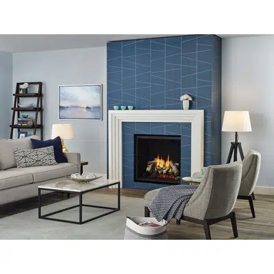 Image for Regency® Grandview™ G800EC Gas Fireplace