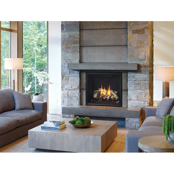 Regency® Grandview™ G800EC Gas Fireplace