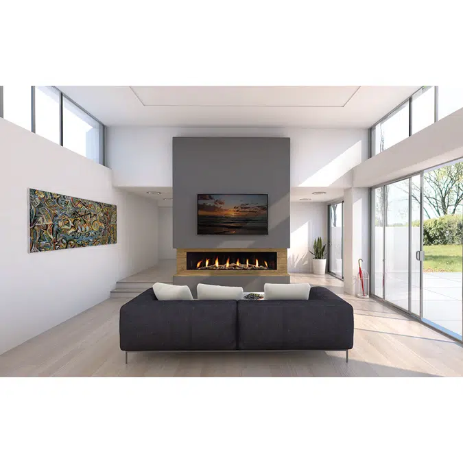 Regency® City Series™ New York View 72 Gas Fireplace