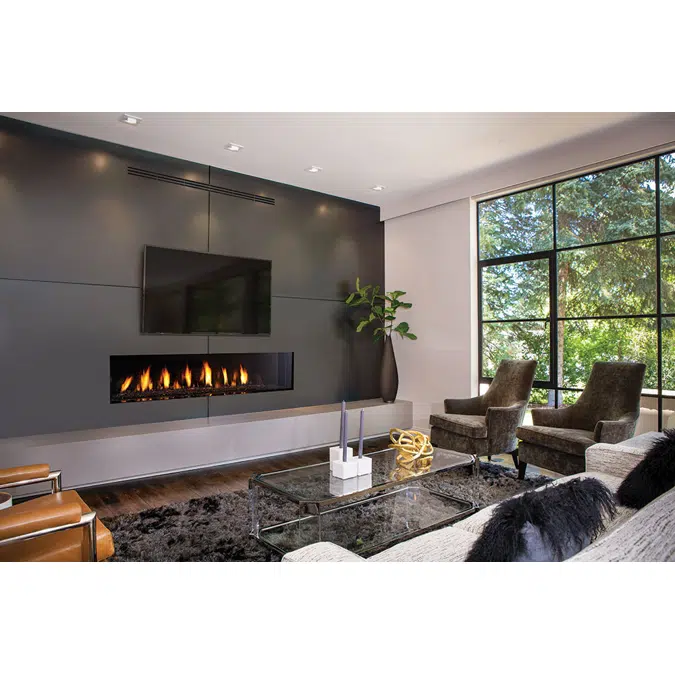 Regency® City Series™ New York View 72 Gas Fireplace