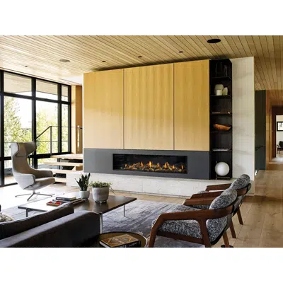 imagem para Regency® City Series™ New York View 72 Gas Fireplace