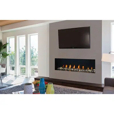 Image for Regency® City Series™ New York View 60 Gas Fireplace