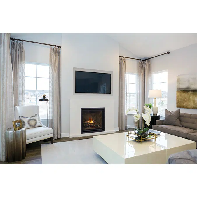 Regency® Grandview™ G600EC Gas Fireplace