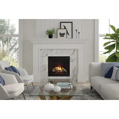Image for Regency® Grandview™ G600EC Gas Fireplace