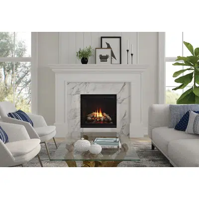 Image pour Regency® Grandview™ G600EC Gas Fireplace