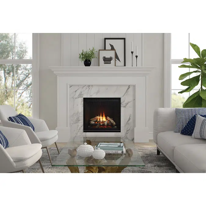 Regency® Grandview™ G600EC Gas Fireplace