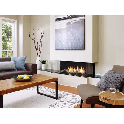 bilde for Regency® City Series™ San Francisco Bay 40 Gas Fireplace