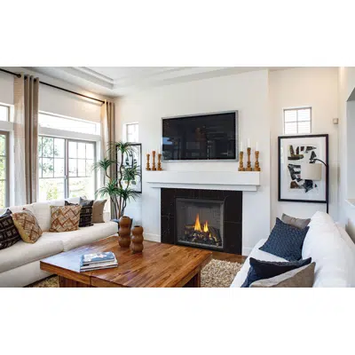 Image pour Regency® Grandview™ G800C Gas Fireplace