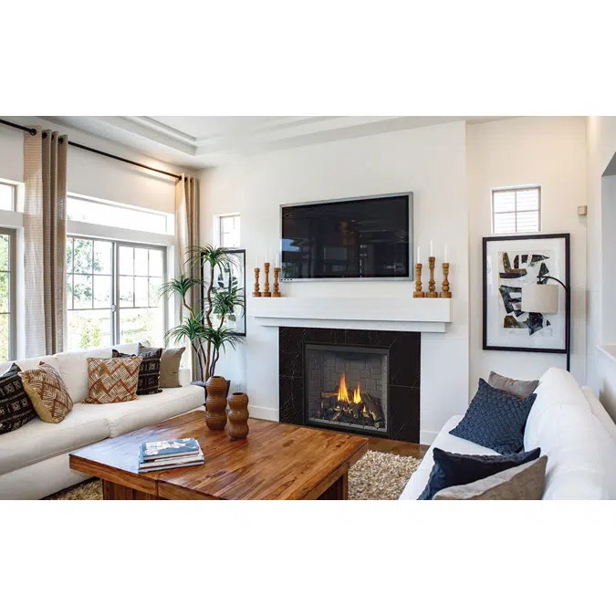 Regency® Grandview™ G800C Gas Fireplace