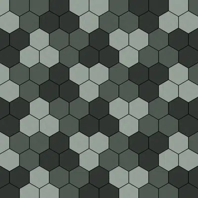 Image for SCG Paving block HEXAGON BLOCK