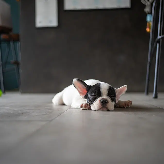 Dyso extreme anti-cracking membrane | Revestech