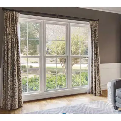 Image pour Infinity Double Hung Window