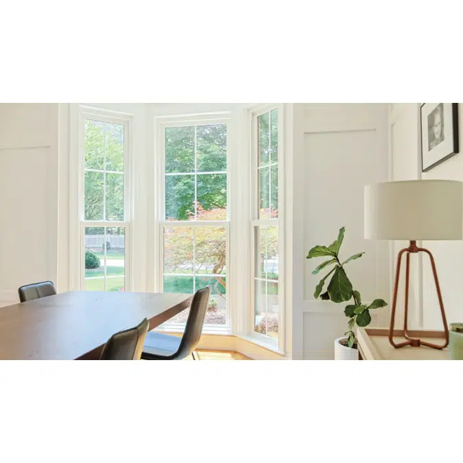 Infinity Double Hung Window