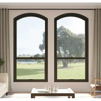 Image for Infinity Single Hung Round Top Window