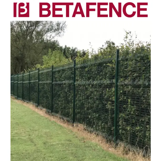 BETAFENCE Paladin Classic + Bekafix