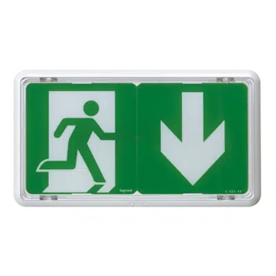 imagem para Self-contained emergency lighting autotest-addressable-connected luminaire