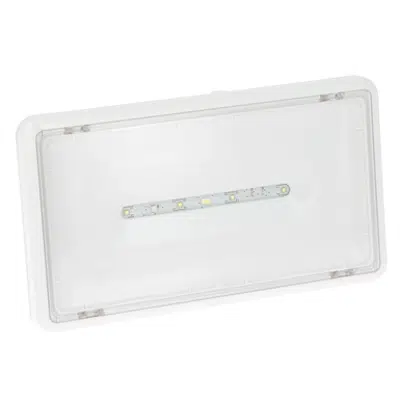 Image for Central source emergency lighting luminaire