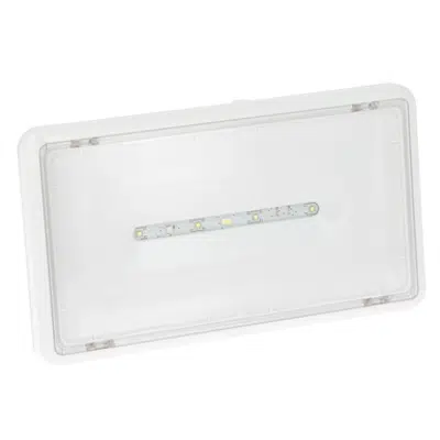 Central source emergency lighting luminaire图像