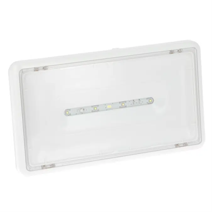 Central source emergency lighting luminaire