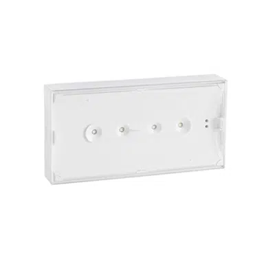 URAONE self-contained emergency lighting autotest-addressable luminaire图像