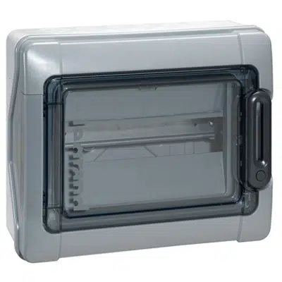 Immagine per PLEXO³ cabinets - IP 65 - IK 09 - 12 modules - 1 to 3 rows