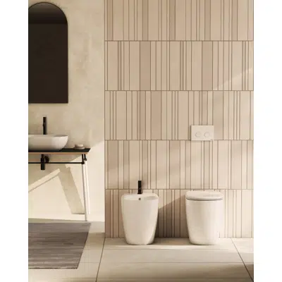 Image for Daily Floor-mounted Bidet DN009