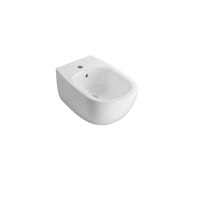 Daily Wall-hung Bidet DNS09