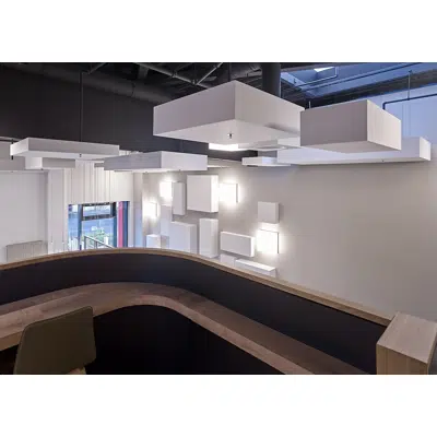 Image for Corpus Wall Absorber