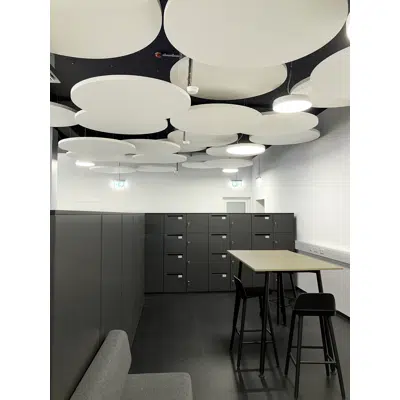 Image for Canopies Selecta