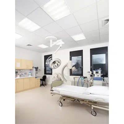 Image for Hygienic ceiling