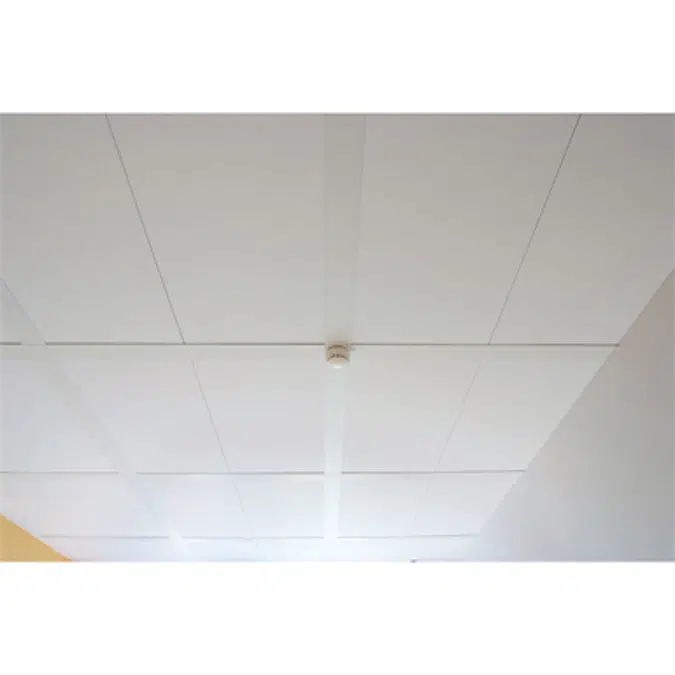 Hygienic ceiling