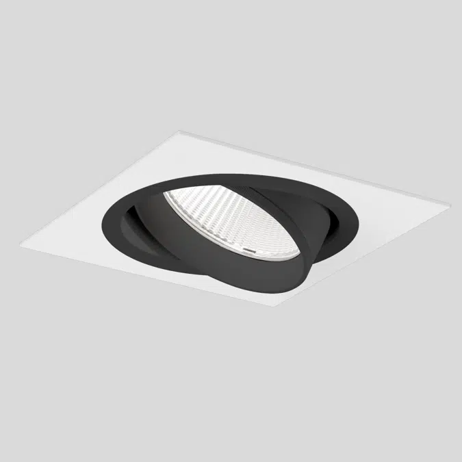 SASSO PRO 100 adjustable flush trim square